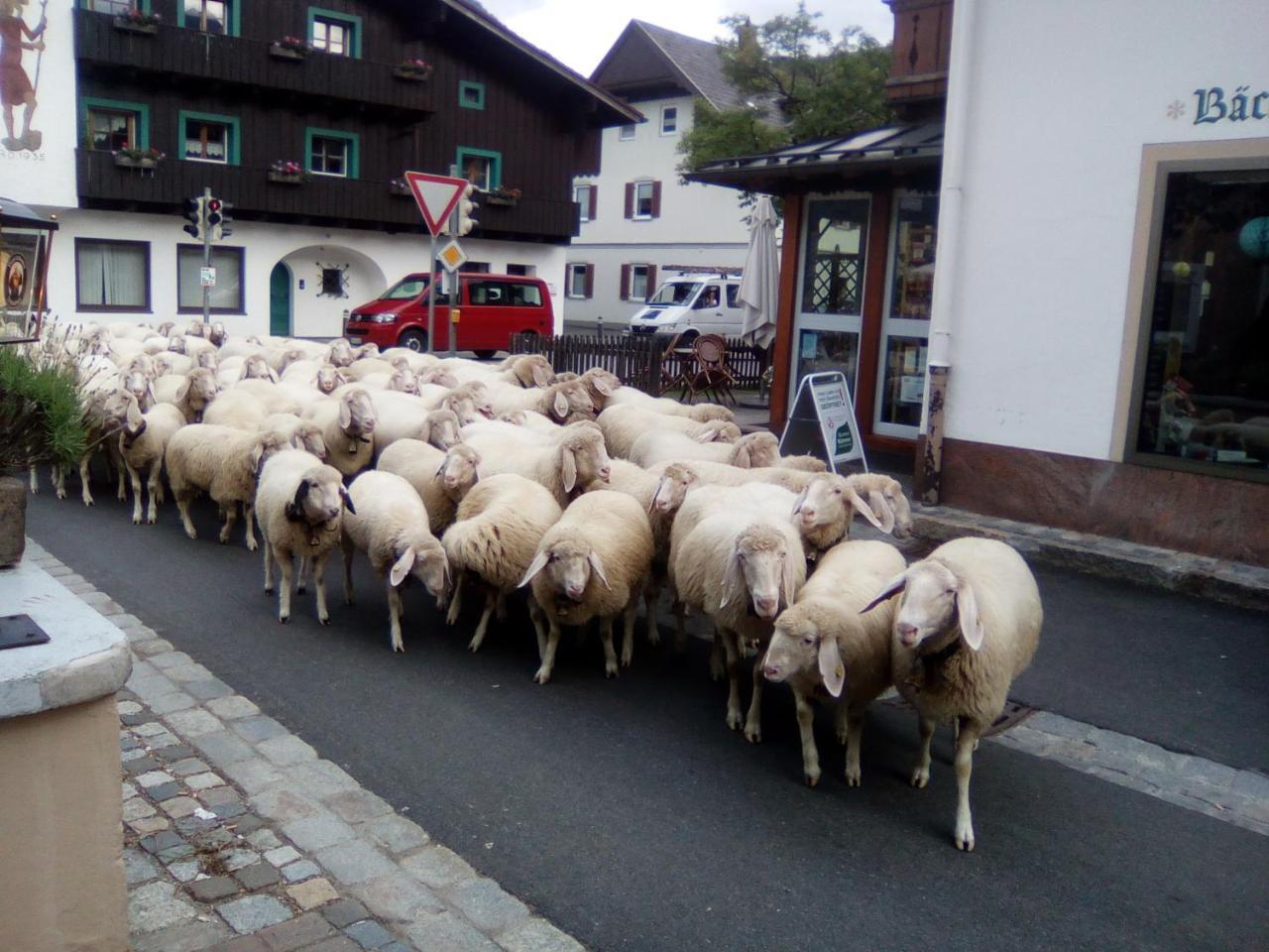 Landgasthof Kirchmayer Farchant Buitenkant foto